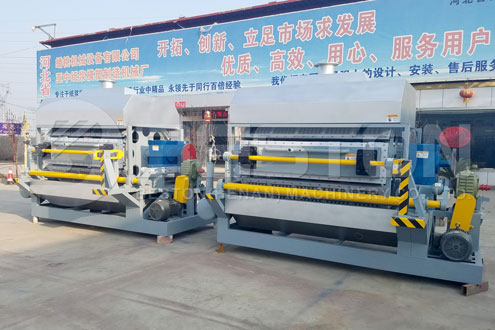 Paper Pulp Molding Plant for Sale