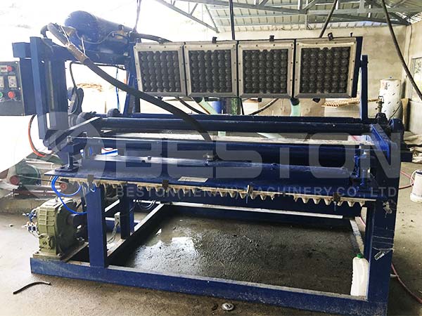 1500pcs Pulp Moulding Machine