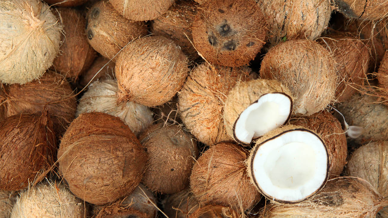 Coconut Processing Waste